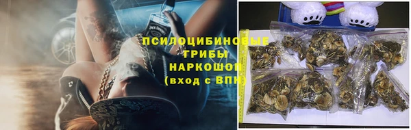 MDMA Кодинск