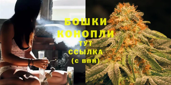 дурь Козловка