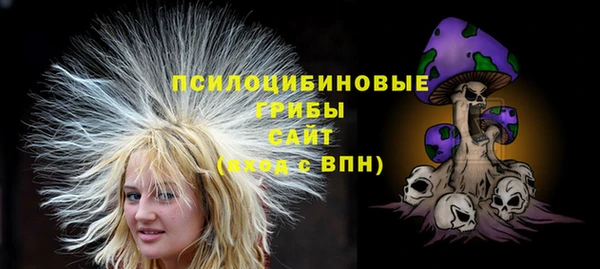 apvp Козельск