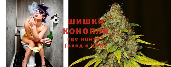 дурь Козловка